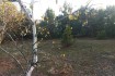 Земельный участок под садоводчество и постройку дома, площадью 0,1200 фото № 1